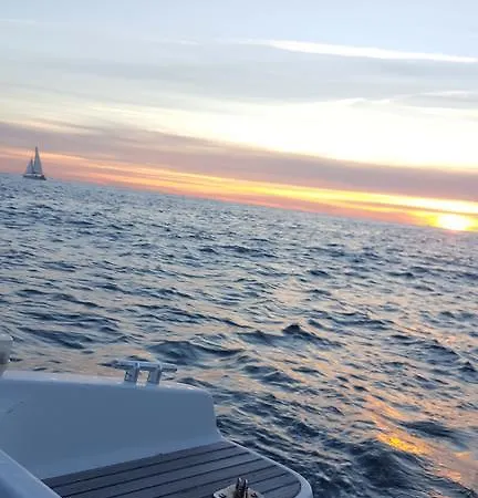 Appart. Vue Sur Mer Et Clim/ Renove アパート イエール